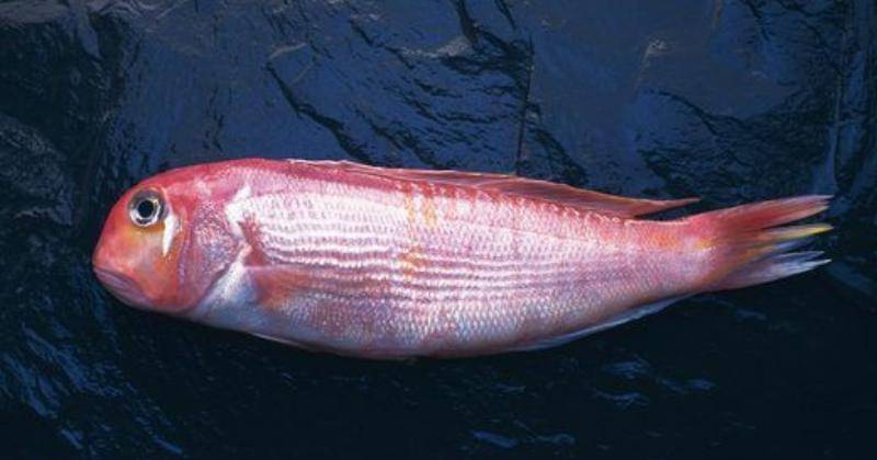 Pinterest/Livestrong.com